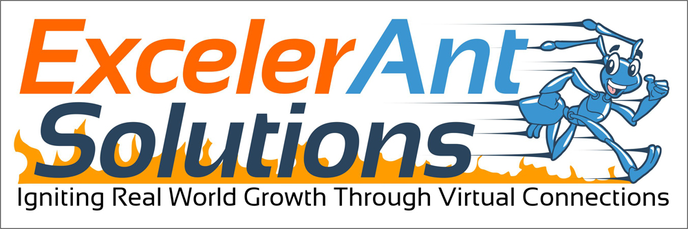 ExcelerAnt SOlutions