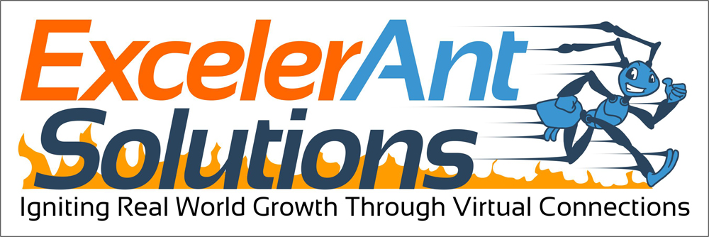 ExcelerAnt Solutions