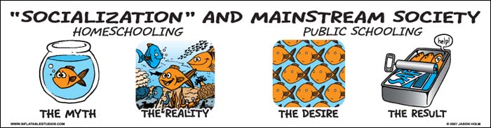 Schools are for Fish