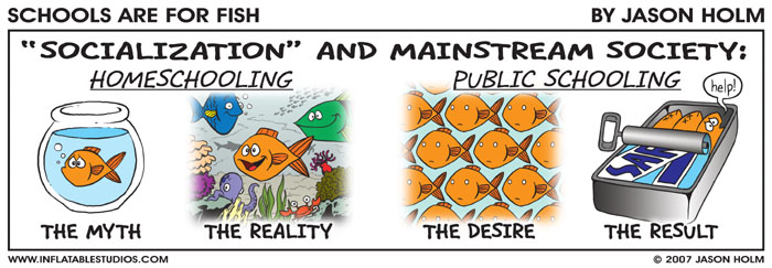 Schools are for Fish