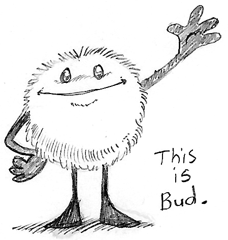 Bud